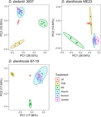 Genome-Wide Identification of Genes Important for Growth of Dickeya dadantii and Dickeya dianthicola in Potato (Solanum tuberosum) Tubers